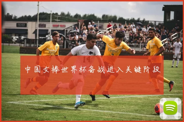 中国女棒世界杯备战进入关键阶段