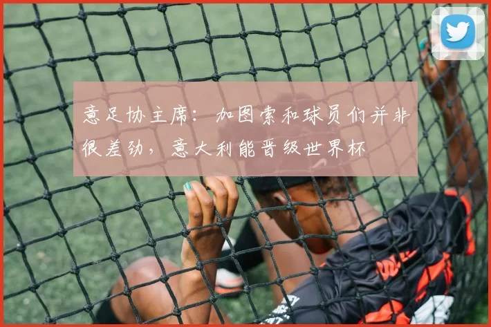意足协主席：加图索和球员们并非很差劲，意大利能晋级世界杯