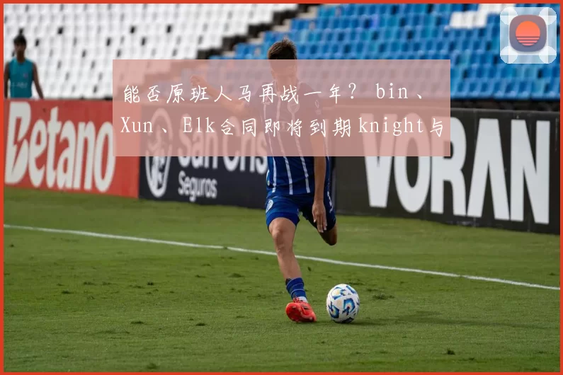 能否原班人马再战一年？ bin 、 Xun 、Elk合同即将到期 knight与ON明年到期