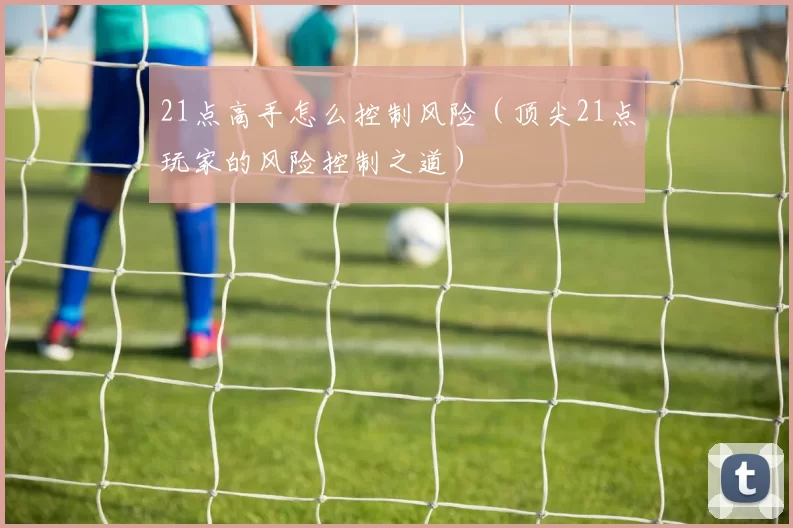 21点高手怎么控制风险（顶尖21点玩家的风险控制之道）