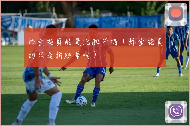 炸金花真的是比胆子吗（炸金花真的只是拼胆量吗）