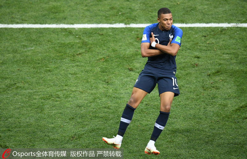 的高位组织 的高位组织